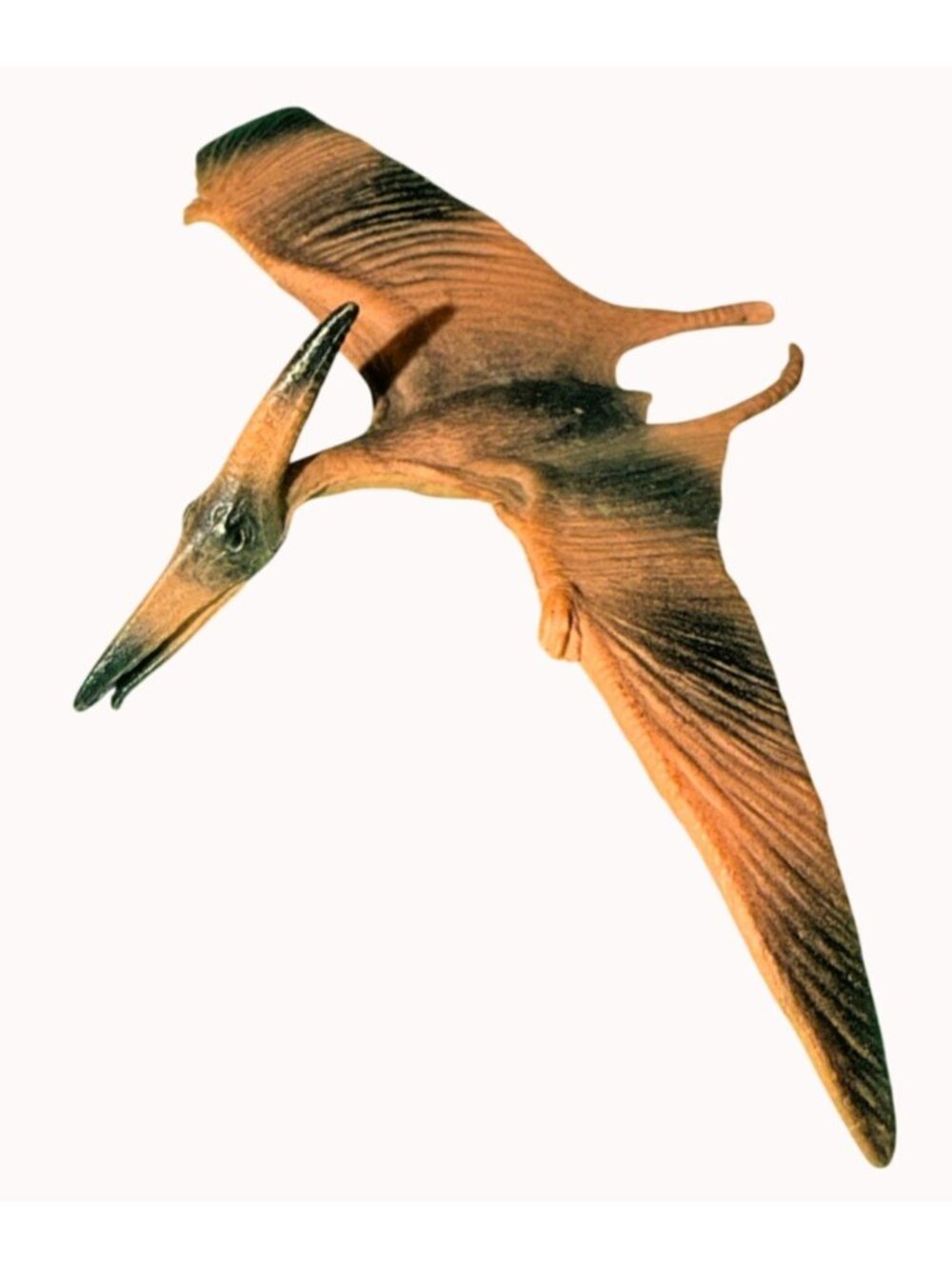 CollectA Realistic Animal Replica Pteranodon Figure for Ages 3 Years and Up